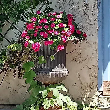 Domisiladore Alloggio in famiglia La Seyne-sur-Mer